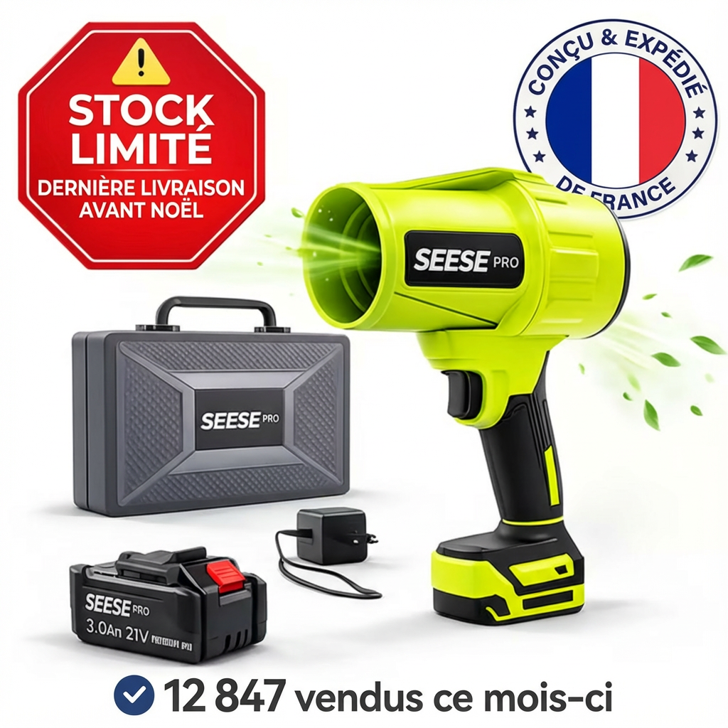 Souffleur Sans Fil Puissant – Compact, Léger et Ultra Performant